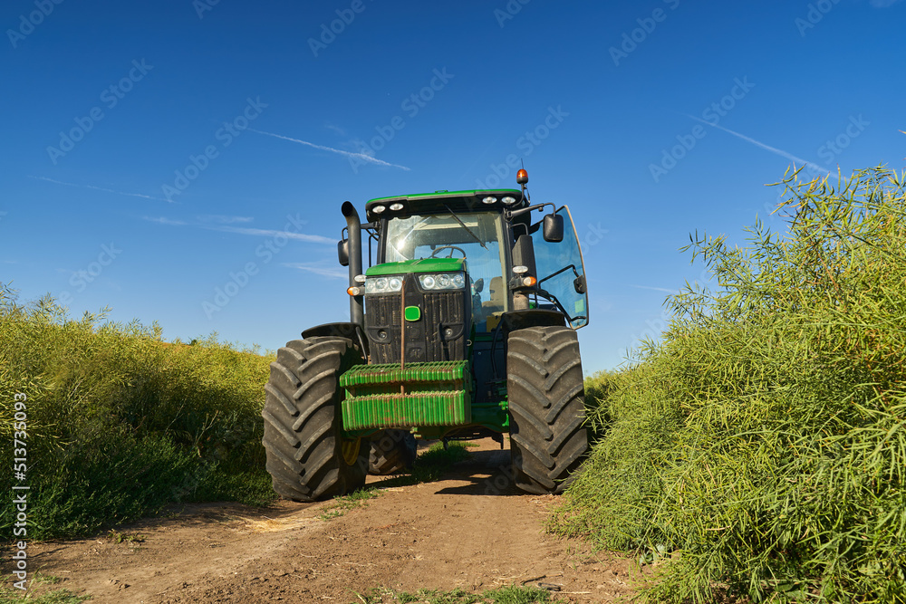 Obraz premium Big tractor in canola field