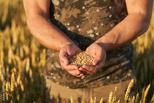Farmer's hand holding wheat