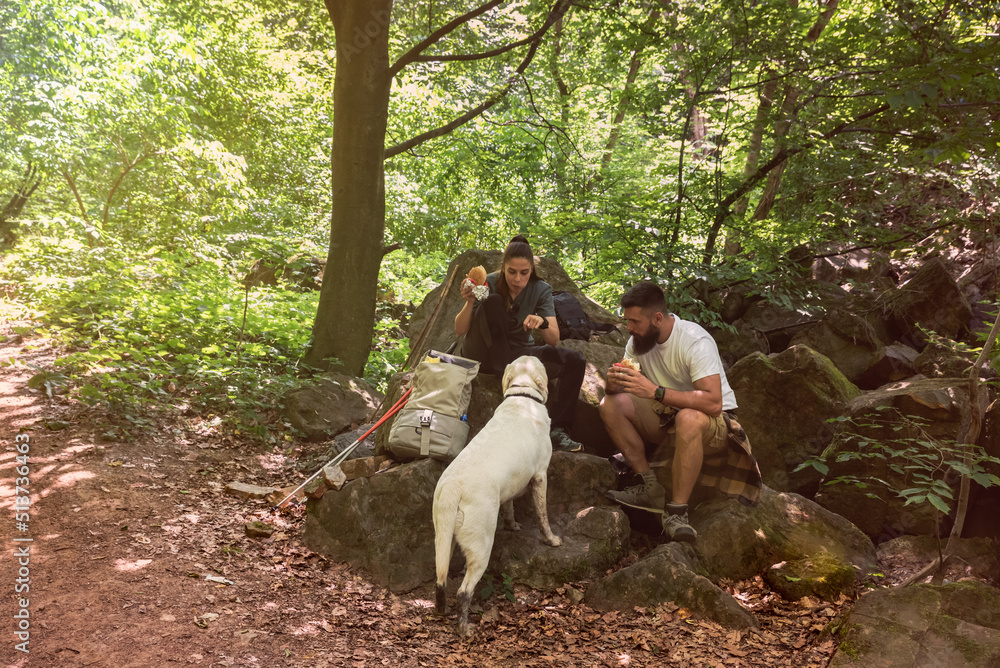 Fototapeta premium Young hikers couple sitting on the rocks on the mountain woods eating a sandwiches at break while their dog watch them. Nature lovers hiking through the forest eating lunch. With film grain