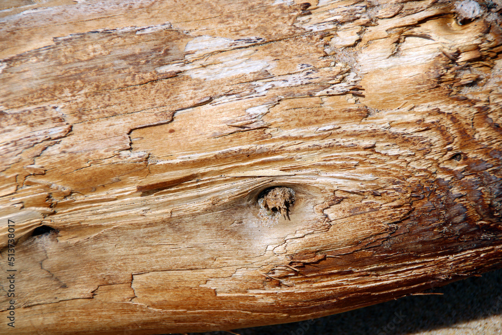 Obraz premium old wood texture