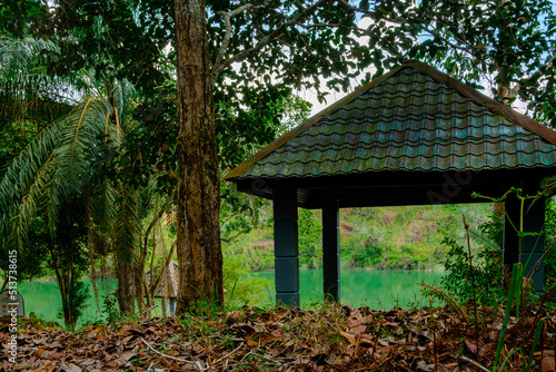 Fototapeta Naklejka Na Ścianę i Meble -  A hut by a lake in Jemaluang, Johor, Malaysia