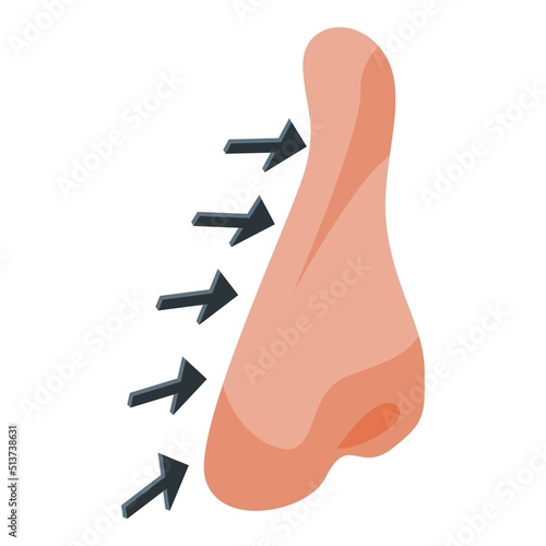 Nose rhinoplasty icon isometric vector. Surgery side. After operation