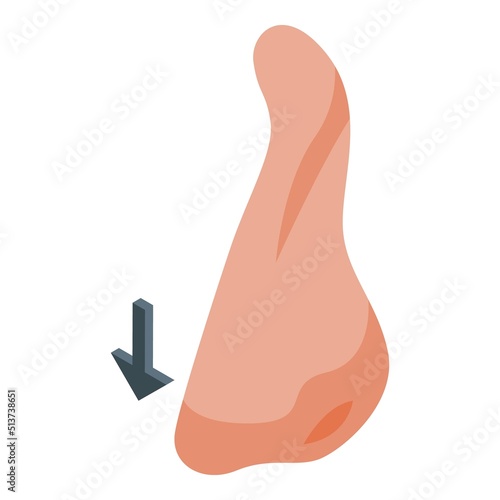 Nose surgery icon isometric vector. Doctor operation. After lift