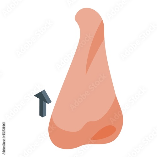 Plastic surgery icon isometric vector. Bone operation. Lift before