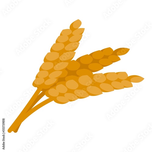 Wheat zinc icon isometric vector. Mineral zn. Medicine health