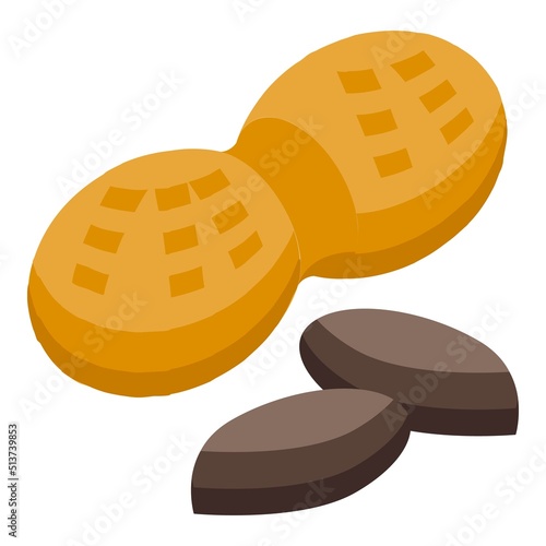 Zinc nut icon isometric vector. Mineral zn. Medicine supplement