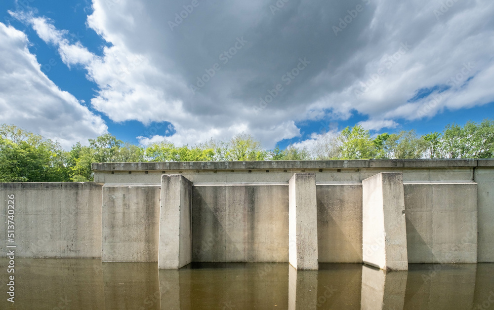 Naklejka premium Waterloopbos