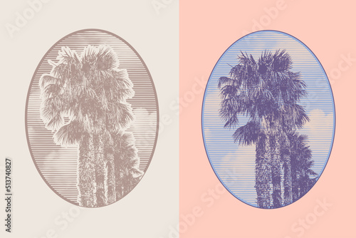 Emblem with a silhouette of palm trees and clouds in engraving style. Monochrome and color options.  Vector Illustration