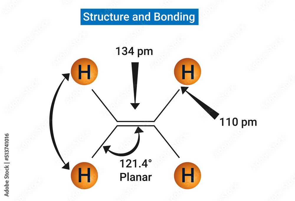 Structure and Bonding Each carbon is sp2 hybridized Stock Vector