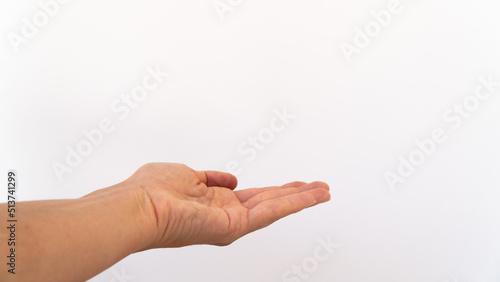 the palm of the left hand on a white background