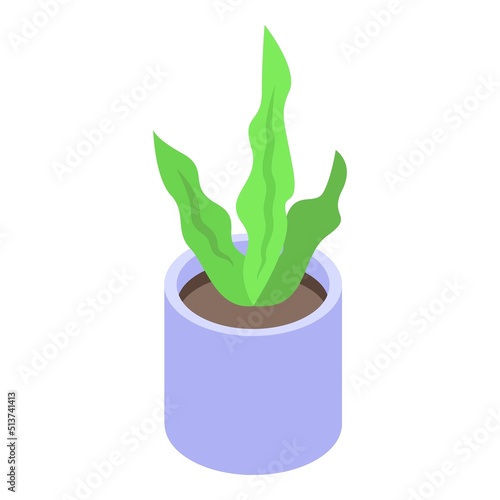 Spirulina plant pot icon isometric vector. Alga green. Food seaweed