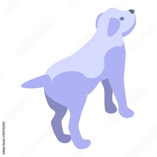 Wash white puppy icon isometric vector. Dog spa. Pet shower