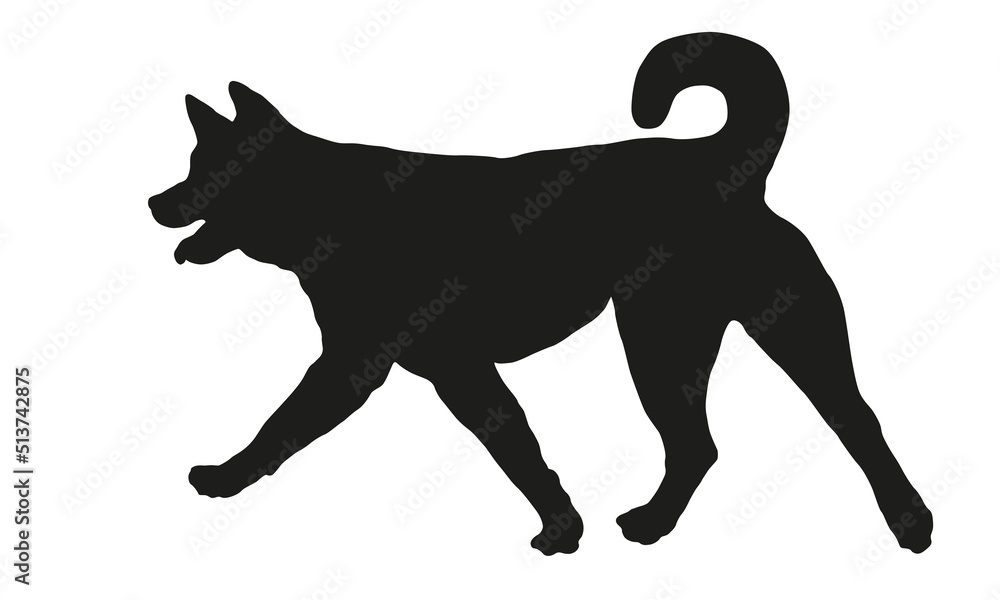 Black dog silhouette. Running american akita puppy. Pet animals. Isolated on a white background. Vector illustration.