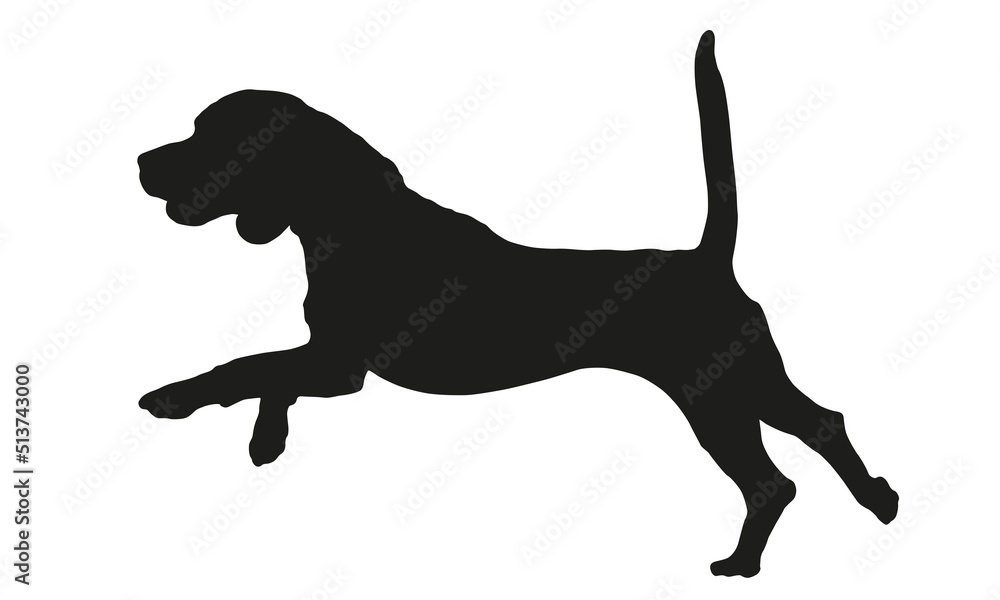 Black dog silhouette. Running and jumping english beagle puppy. Pet animals. Isolated on a white background. Vector illustration.
