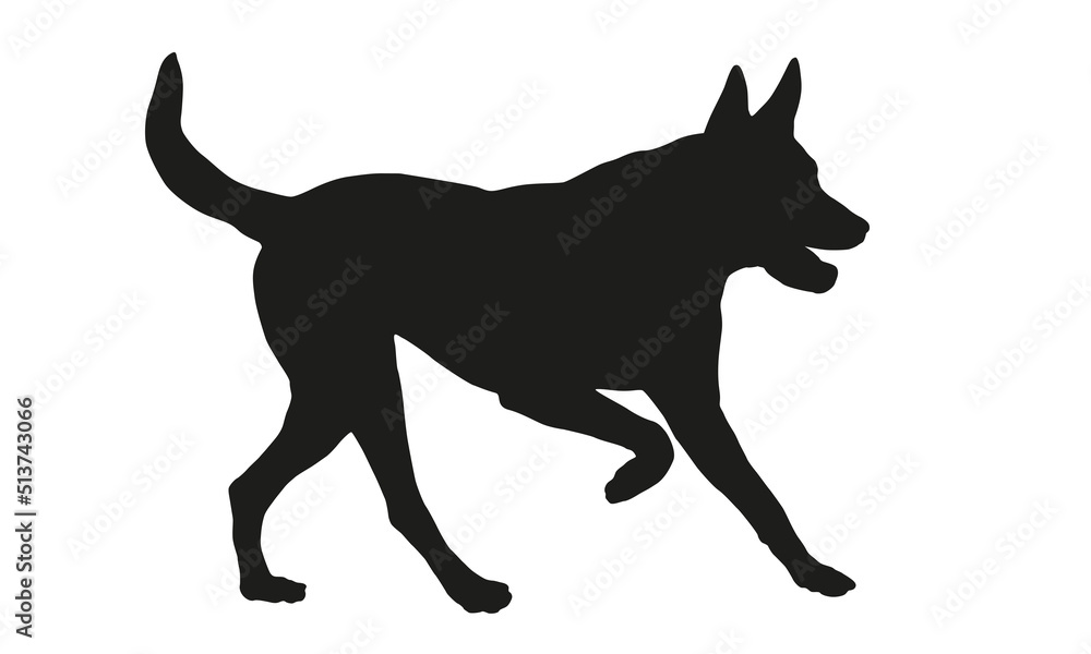 Black dog silhouette. Running belgian sheepdog puppy. Malinois. Pet animals. Isolated on a white background. Vector illustration.