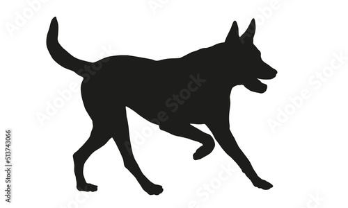 Black dog silhouette. Running belgian sheepdog puppy. Malinois. Pet animals. Isolated on a white background. Vector illustration.