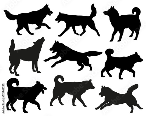 Group of siberian huskies. Black dog silhouette. Running, standing, walking, jumping dogs. Isolated on a white background. Pet animals. Vector illustration.