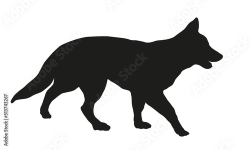 Walking white swiss shepherd dog puppy. Black dog silhouette. Pet animals. Isolated on a white background. Vector illustration.
