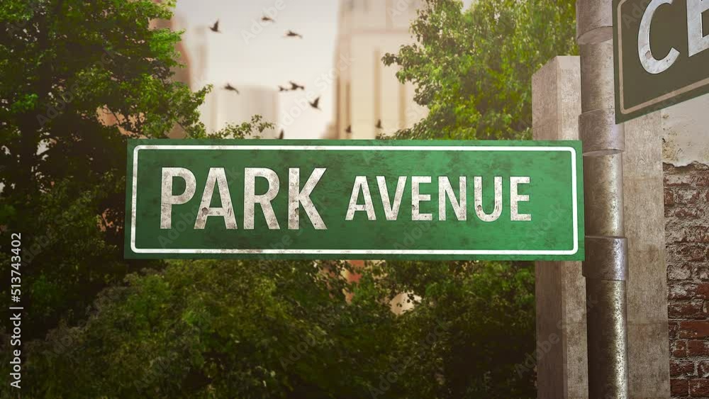 Park avenue with fly birds and big buildings in national park in summer day, motion urban and business style background Park avenue with fly birds and big buildings in national park in summer day, motion urban and business style background