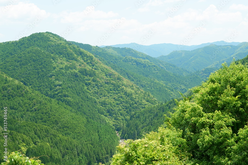 Fototapeta premium 山奥の清涼