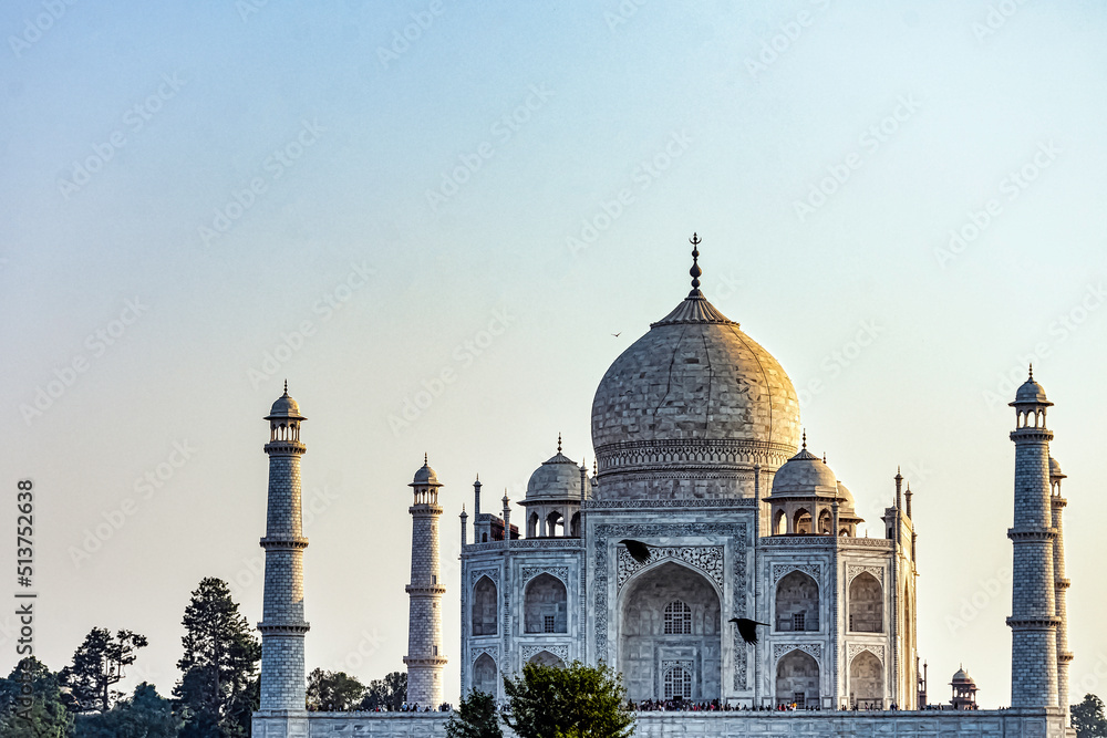 Taj Mahal with flying ravens in Agra, Uttar Pradesh, India