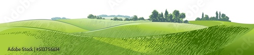 Vector sketch Green grass field on small hills. Meadow, alkali, lye, grassland, pommel, lea, pasturage, farm. Rural scenery landscape panorama of countryside pastures. illustration