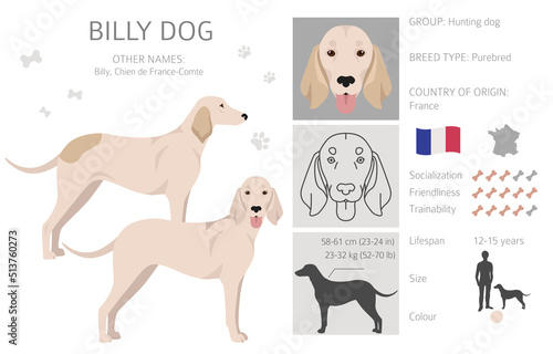 Billy dog clipart. Different coat colors and poses set