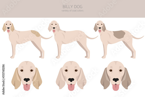 Billy dog clipart. Different coat colors and poses set