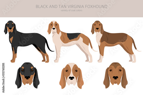 Black and tan Virginia Foxhound clipart. Different coat colors and poses set