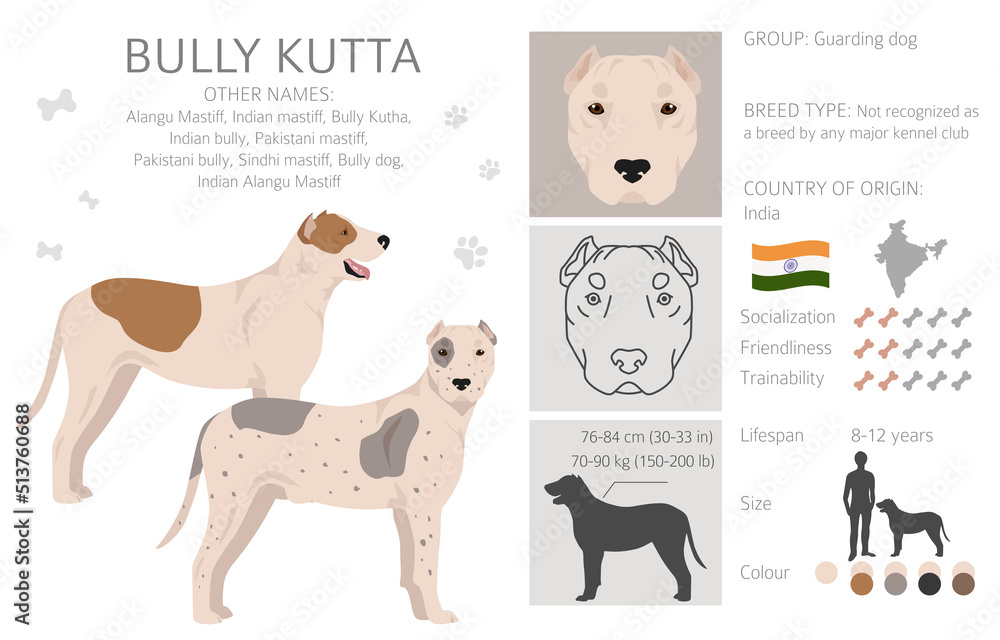 Indian Mastiff" Images – Browse 13 Stock Photos, Vectors, and Video | Adobe  Stock
