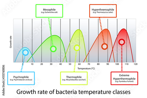 Diagram of microorganism optimal temperature range - Psychrophile, Mesophile, Thremophile and Hyperthermophile growth rates with example bacteria. photo