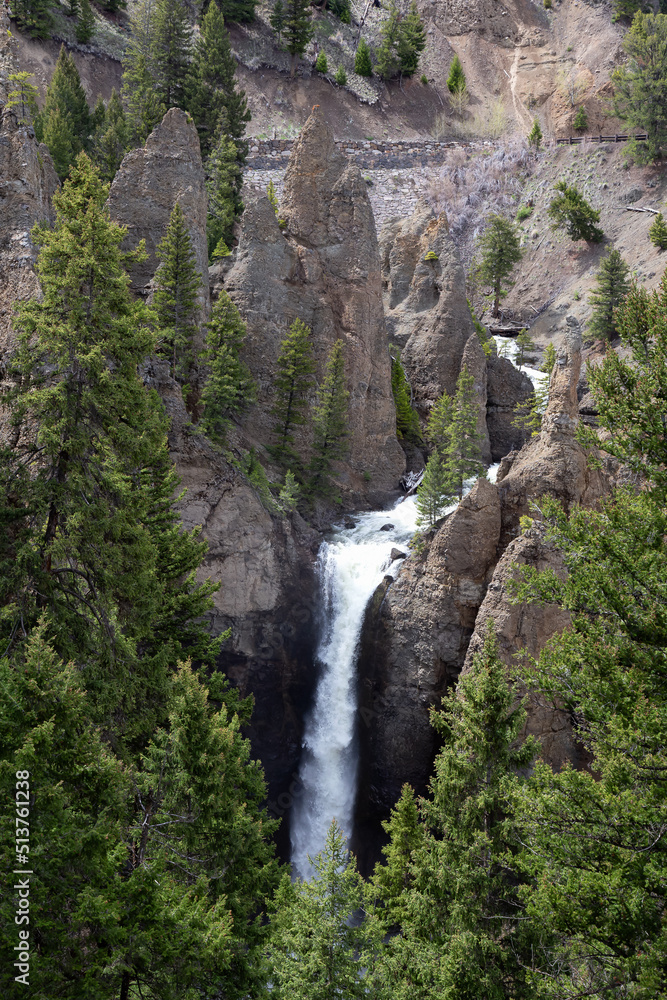 Obraz premium Waterfall and Trees in the American Landscape. Tower Fall in Yellowstone National Park, Wyoming. United States. Nature Background.