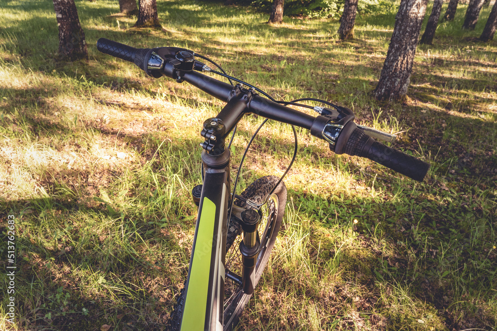 Handlebar of bicycle on forest background