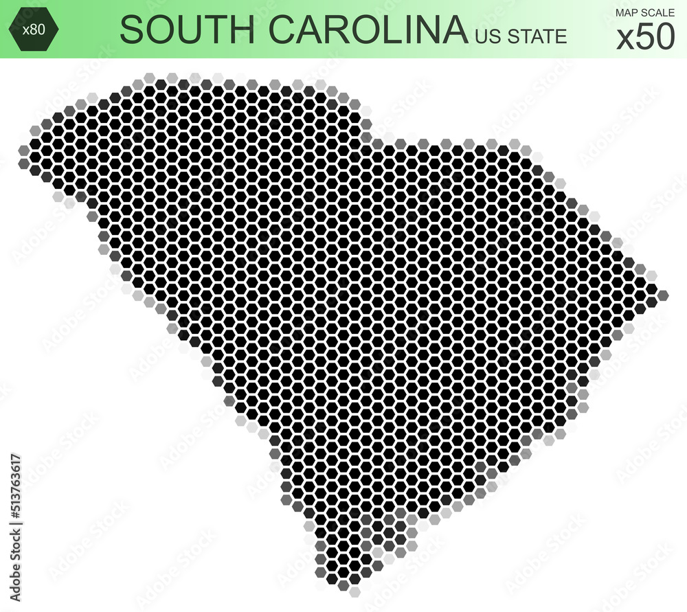 Dotted map of the state of South Carolina in the USA, from hexagons, on a scale of 50x50 elements. With rough edges from a grayscale gradient on a white background.