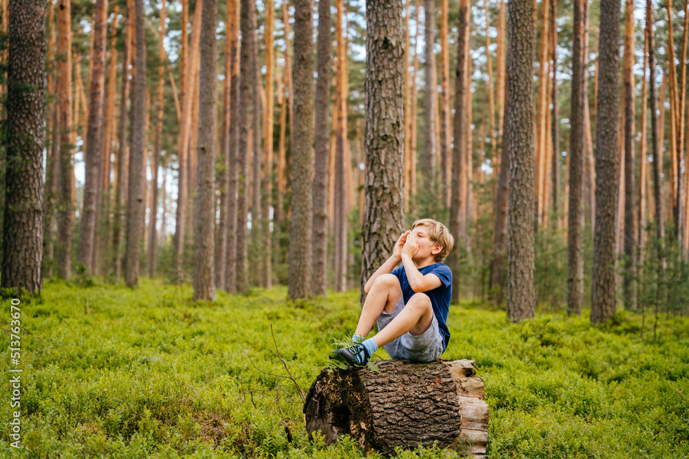 To get lost in the forest. A 10-year-old boy sits in the middle of the forest by himself on a fallen log