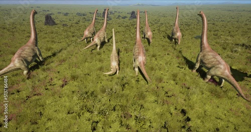 Brachiosaurus herd, sauropod walking in search of food. Jurassic period, Mesozoic era. 3D rendering photo