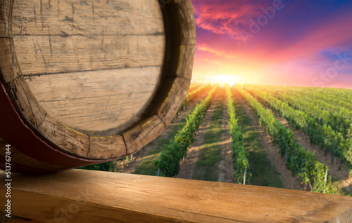Ripe wine grapes on vines in Tuscany, Italy. Picturesque wine farm, vineyard. Sunset warm light © kishivan