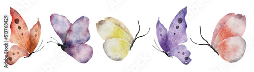 Watercolor butterflies hand drawn illustrations insects set