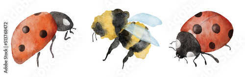 Watercolor ladybugs and bumblebee illustration hand drawn set