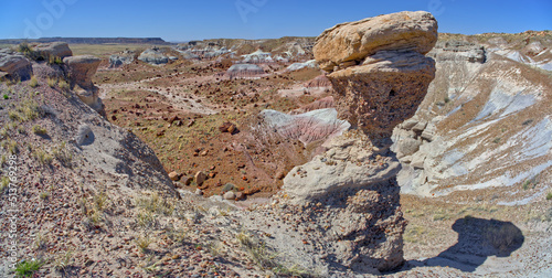A hoodoo resembling a Dinosaur Head overlooking Jasper Forest in Petrified Forest National Park, Arizona, United States of America