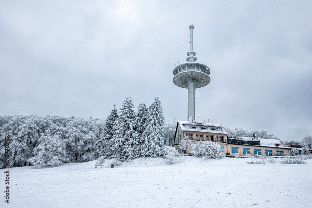 Fototapeta premium Winter Wonderland