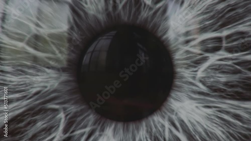 Human eye grey iris and pupil extreme macro. photo