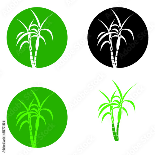 sugar cane vector