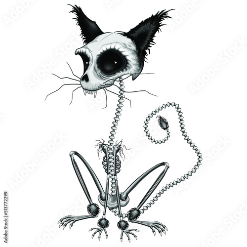 Cat Skeleton Creepy Halloween Character Vector illustration isolated on white