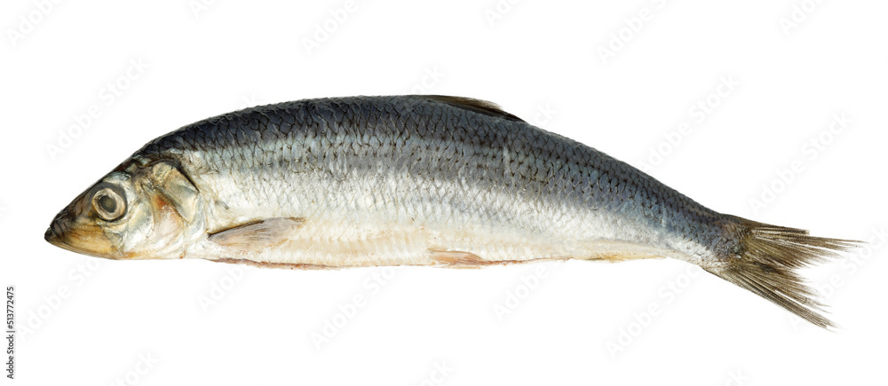 Salted sea fish herring on a white background. Salted sea fish herring on a white background.