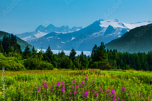 Wildflower Vista at Mendenhall River & Glacier, Juneau AK © Claire