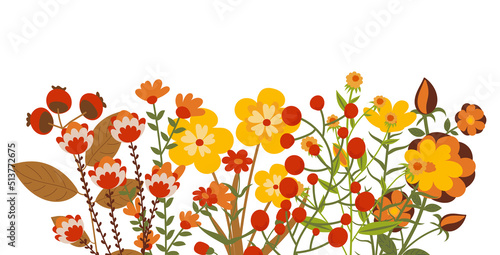 autumn flowers in flat design, isolated vector