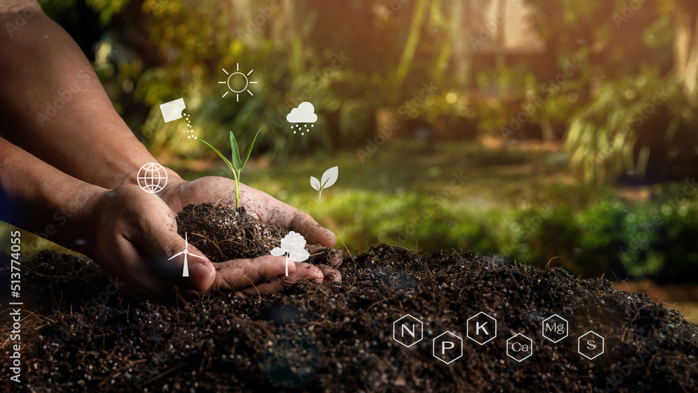 Closeup hand of person holding abundance soil with young plant in the middle of the icons and minerals icons. Concept green world earth day. Smart Farming Concept. Ecology and Environment Earth. - obrazy, fototapety, plakaty 