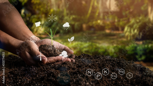 Closeup hand of person holding abundance soil with young plant in the middle of the icons and minerals icons. Concept green world earth day. Smart Farming Concept. Ecology and Environment Earth.