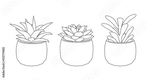 Eco interior with succulents in simple linear style. Editable stroke Vector illustration